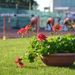 Stadion Míru znovu rozzářila špičková atletika. Tleskalo se hvězdám i pořadatelům