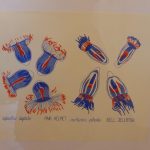 V táborské Galerii U Radnice otevřeli výstavu ilustrací
