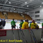 Druholigoví hokejisté Tábora znovu obuli brusle. Trenér Györi zkouší řadu nových hráčů