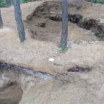 Nelegální těžbu vltavínů řeší inspekce životního prostředí i policie