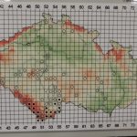 V soběslavské knihovně vystavují projekt třeboňského fondu pro vydru