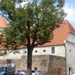 V soběslavské knihovně vystavují projekt třeboňského fondu pro vydru