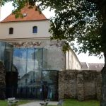 V soběslavské knihovně vystavují projekt třeboňského fondu pro vydru