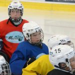 Mladší žáky HC Milevsko 2010 dnešním tréninkem převzali Ondřej Mertl a Jan Polata
