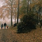 Nedělní přípravy na uctění památky zesnulých byly klidné