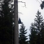 Za záchranu mláděte orla mořského v Dolní Radouni se Jan Tylšar dočkal ocenění