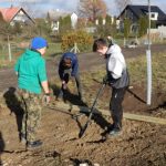 Dubové stromořadí lemuje část veselské cyklostezky