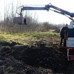 Dubové stromořadí lemuje část veselské cyklostezky