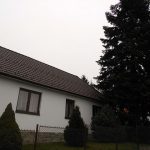 Vánoční jedle už zdobí hradecké náměstí. Rozsvítí se bez přítomnosti lidí