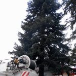 Vánoční jedle už zdobí hradecké náměstí. Rozsvítí se bez přítomnosti lidí