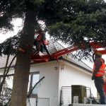Vánoční jedle už zdobí hradecké náměstí. Rozsvítí se bez přítomnosti lidí