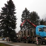 Vánoční jedle už zdobí hradecké náměstí. Rozsvítí se bez přítomnosti lidí