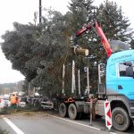Vánoční jedle už zdobí hradecké náměstí. Rozsvítí se bez přítomnosti lidí
