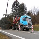 Vánoční jedle už zdobí hradecké náměstí. Rozsvítí se bez přítomnosti lidí