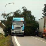 Vánoční jedle už zdobí hradecké náměstí. Rozsvítí se bez přítomnosti lidí