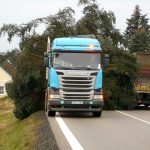 Vánoční jedle už zdobí hradecké náměstí. Rozsvítí se bez přítomnosti lidí