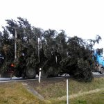 Vánoční jedle už zdobí hradecké náměstí. Rozsvítí se bez přítomnosti lidí