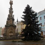 Vánoční jedle už zdobí hradecké náměstí. Rozsvítí se bez přítomnosti lidí