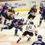 Překvapení se nekonalo: Budějovický odchovanec Horák sestřelil Motor čtyřmi body