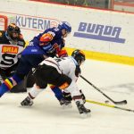 Překvapení se nekonalo: Budějovický odchovanec Horák sestřelil Motor čtyřmi body