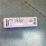Jihočeští hasiči se pustili do testování učitelů. Zatím zjistili jen dva pozitivní vzorky