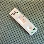 Jihočeští hasiči se pustili do testování učitelů. Zatím zjistili jen dva pozitivní vzorky