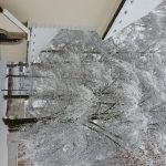 Soběslav se oblékla do sněhových šatů