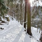 VÝLETY: Od Kotnova ke Kotnovu kolem řeky