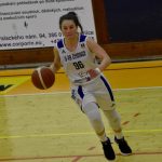 Renomia ŽBL: Ostrava byla nad síly Strakonic