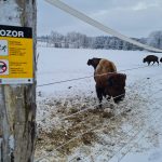 VÝLETY: Na severní hranici kraje zažijete pohádkovou atmosféru