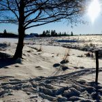 FOTOSOUTĚŽ: Pošlete nám, jak si užíváte zimu, a vyhrajte!