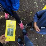 VÝLETY: Krásná a tajemná Borkovická blata