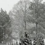 FOTOSOUTĚŽ: Pošlete nám, jak si užíváte zimu, a vyhrajte!