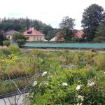 Krafferovu zahradu město Jindřichův Hradec pronajme společnosti Atelier Za Mák