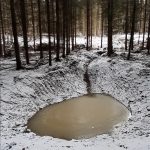 Lesy města Český Krumlov pomáhají zadržovat vodu v krajině. Budují studánky a tůně