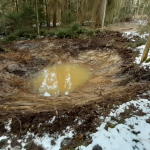 Lesy města Český Krumlov pomáhají zadržovat vodu v krajině. Budují studánky a tůně