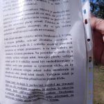 Blog Františka Karla Ladislava: Výhody neofašismu