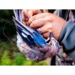 Výstava Projekt 101 zdobí stěny hradeckého Muzea fotografie. Na návštěvníky teprve čeká