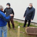 Zpěvák Jožka Šmukař zasadil v Milevsku mandloně