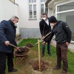 Zpěvák Jožka Šmukař zasadil v Milevsku mandloně