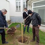 Zpěvák Jožka Šmukař zasadil v Milevsku mandloně