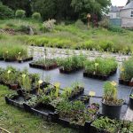 Nového nájemce Krafferovy zahrady v Jindřichově Hradci čeká hodně práce. V areálu plánuje i kavárnu