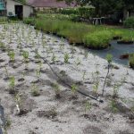 Nového nájemce Krafferovy zahrady v Jindřichově Hradci čeká hodně práce. V areálu plánuje i kavárnu