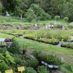 Nového nájemce Krafferovy zahrady v Jindřichově Hradci čeká hodně práce. V areálu plánuje i kavárnu