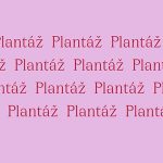 Centrum kultury a vzdělávání Blatná změnilo identitu. Stala se z něj Plantáž