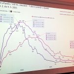 Ředitelka KHS: Jihočeský kraj je v naprosto klidné epidemiologické situaci