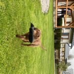 Vodní záchranáři čekají na Lipně další rušnou sezonu