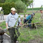 V Nákří vyrostla přes víkend nová třešňová alej. I další obce mohou získat prostředky z grantu Stromy