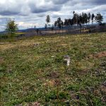 Senátoři navštívili Jindřichohradecko. Výjezdní zasedání si nenechal ujít ani předseda Senátu Miloš Vystrčil