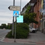 Stromy a keře versus květinové záhony v Táboře